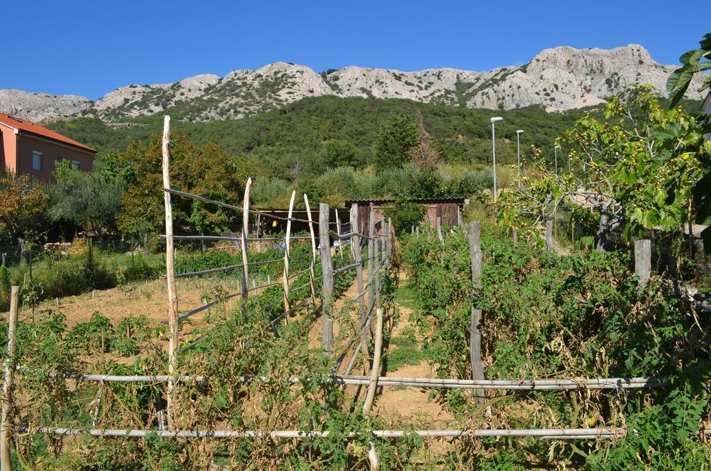 Apartament Drita